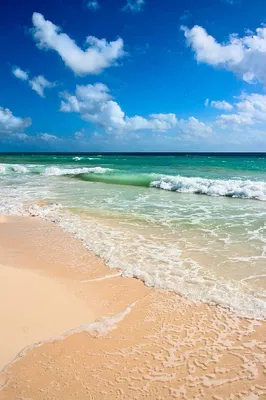 пара на пляже на мальдивах романтика пара два Фото Фон И картинка для  бесплатной загрузки - Pngtree
