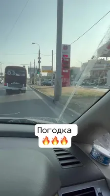 В Ташкенте.Погода супер | Instagram