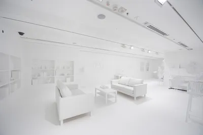 Белая комната\" - светлый интерьер. 33 фото примера.