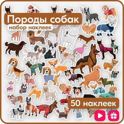 Карточки Домана Породы собак на украинском (88514). Карточки для развития