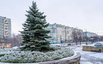 Как выглядит «Дубовка» в Запорожье в последний день января (ФОТО, ВИДЕО) |  Портал Акцент