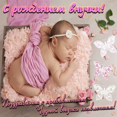 Поздравление с рождением внучки в открытке - поздравляйте бесплатно на  otkritochka.net