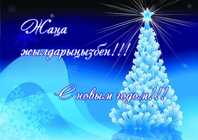 ПОЗДРАВЛЕНИЕ ДИРЕКТОРА С НОВЫМ ГОДОМ » БПФ ГОУ «ПГУ им. Т.Г. Шевченко» -  Официальный сайт