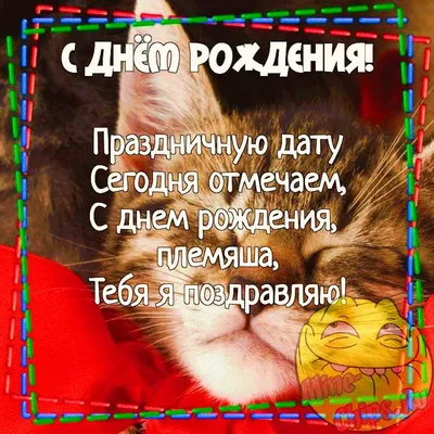 Картинка для смешного поздравления с Днём Рождения племяннику - С любовью,  Mine-Chips.ru