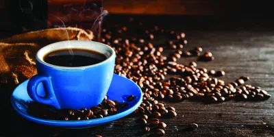 Позвольте себе начать день с приятного завтрака и бодрящего кофе в любимой  кофейне Bon!😋 | Instagram