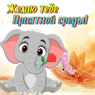 Хорошей среды! | Открытки с добрым утром днем рождения | ВКонтакте
