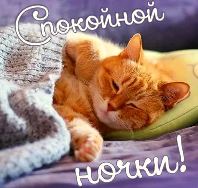Любимый, сладких снов! - Скачайте на Davno.ru