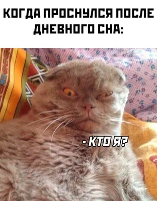 Анекдоты И Смешные Картинки в Instagram: «#одесса #мокрыйпол #мужижена  #покушение #сковородка #больница #страшно #юмор #з… | Юмористические  цитаты, Больницы, Смешно