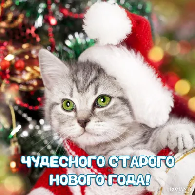 Замечательная прикольная картинка в Старый Новый Год - С любовью,  Mine-Chips.ru