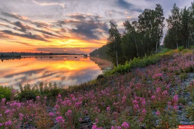 Красивая природа России (59 фото) - 59 фото