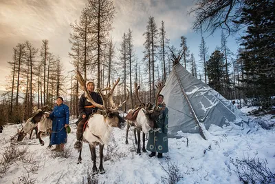 Природа севера России - красивые фото