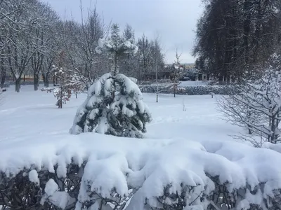 Природа Байкала | Скальник Зеркала в марте