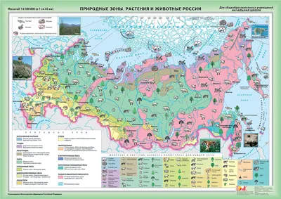 Природные Зоны России Картинки