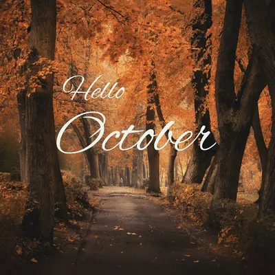 Привет Ноябрь Прощай октябрь Идеи для сторис | Осенний баннер, Ноябрь, Осень