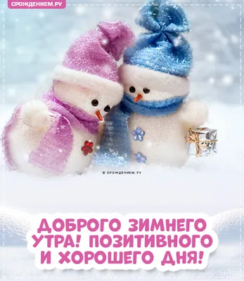 Картинка \"С добрым зимним утром!\", с прикольным котиком • Аудио от Путина,  голосовые, музыкальные