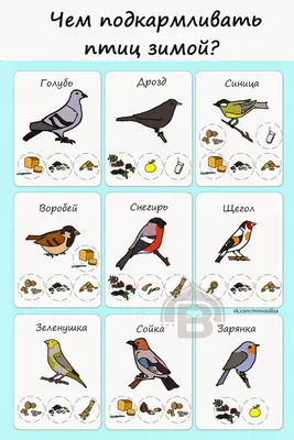 Дидактические карточки птицы распечатать бесплатно