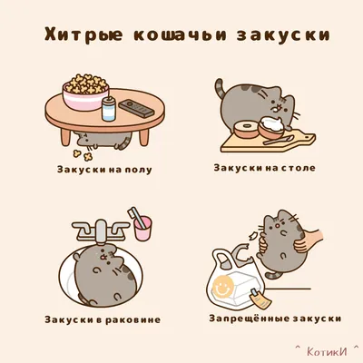Картинки пушистых котят, наслаждающихся ужином в хорошем качестве