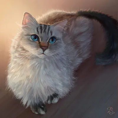 Красивые пушистые котята стоковое фото. изображение насчитывающей любимчики  - 52570486