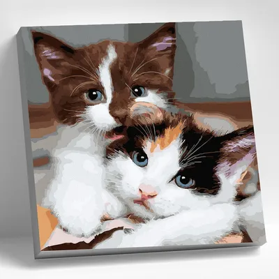 Картина по номерам - Пушистые котята ©Kira Corporal (KHO4370)