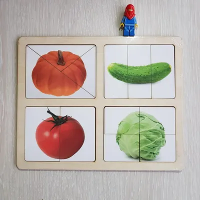 Мастер-класс по созданию лэпбука «Овощи и фрукты — полезные продукты» (5  фото). Воспитателям детских садов, школьным учителям и педагогам - Маам.ру