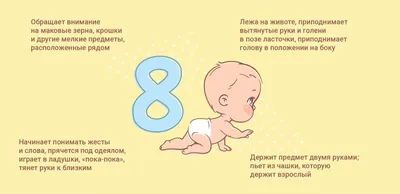 Особенности возраста ребенка в 7-8 месяцев. Центр терапии «Пеликан» в  Санкт-Петербурге