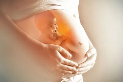 Воспитание вкуса. Как дети в утробе реагируют на питание матери | Здоровье  ребенка | Здоровье | Аргументы и Факты