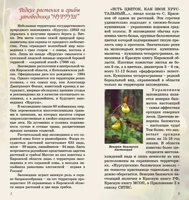 Банк России выпустил двухрублевые монеты с изображением редких растений -  Российская газета