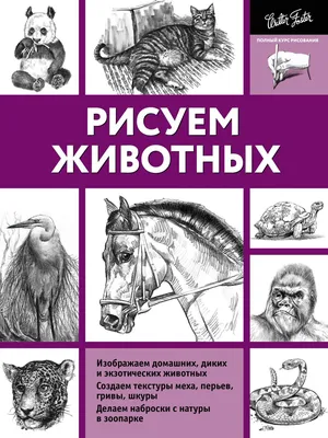 Как рисовать животных Джек Хамм - купить книгу Как рисовать животных в  Минске — Издательство Попурри на OZ.by