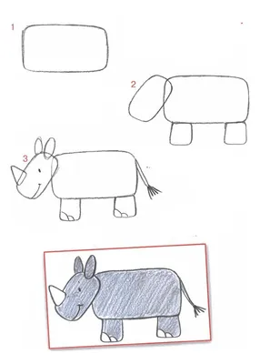 Как поэтапно нарисовать экзотических животных. Часть 2 | Risovashki.TV -  Дети и Родители | Дзен