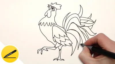 How to Draw a Rooster step by step easy for Kids ✓ - YouTube