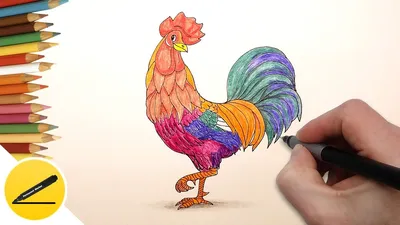 How to Draw a Rooster step by step - a Symbol of 2017 - YouTube
