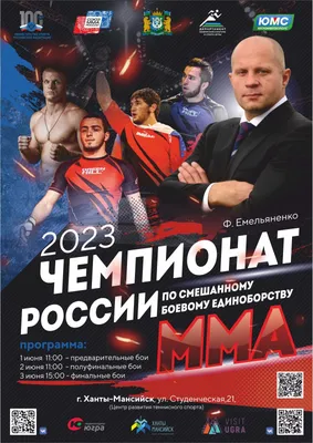 Свитер хоккейный Россия Чемпион 14 купить в интернет-магазине LutchShop.ru
