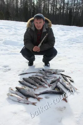 Рыбалка и охота на севере