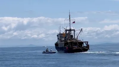 Деньги на крови: во Владивостоке рыболовное судно чуть не размолотило лодку  | Восток-Медиа | Дзен