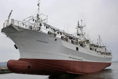 Приморское рыболовное судно продают на Авито за 135 миллионов рублей - 18  ноября 2023 - vladivostok1.ru