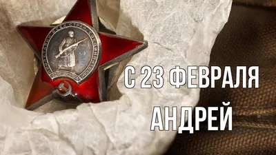 Андрей Турчак призвал всех неравнодушных возложить цветы к воинским  мемориалам 23 февраля