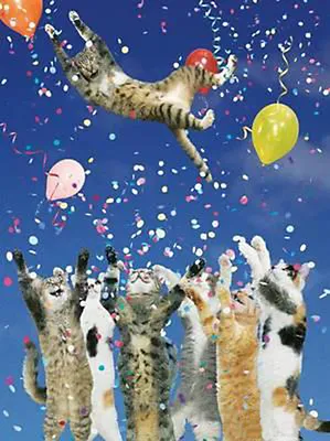 Открытка на день рождения с 3D изображением кошки и путающих конфетти,  забавная открытка на день рождения для мужа, жены, друга, кошки,  влюбленных, поздравительные открытки | AliExpress