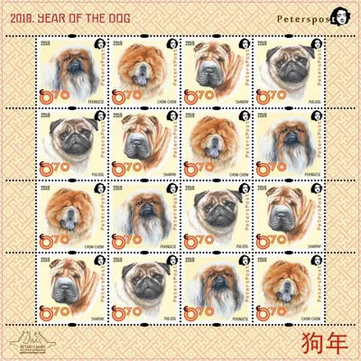 Друзья, поздравляю вас с Годом Собаки!❤️ Да-да, вы не ослышались)) Для меня  каждый год - это Год Собаки. Потому что преданней собаки… | Instagram
