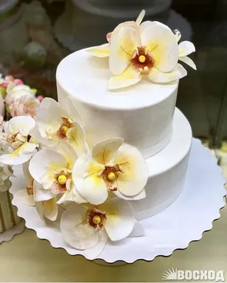 Сахарная картинка для торта \"Принцессы\", размер А4. Украшение для торта и  декор для выпечки. - купить с доставкой по выгодным ценам в  интернет-магазине OZON (305845206)