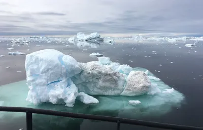 Моря северного ледовитого океана - 65 фото