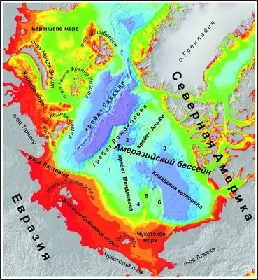 Северный Ледовитый океан: Интересные факты | Интересные Факты вики | Fandom