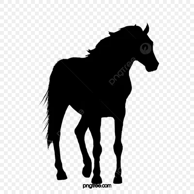 Силуэт Лошади — стоковая векторная графика и другие изображения на тему  Лошадь - Лошадь, Силуэт, Становиться на дыбы - iStock