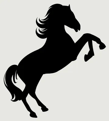 Силуэт Лошади — стоковая векторная графика и другие изображения на тему  Лошадь - Лошадь, Силуэт, Изолированный предмет - iStock