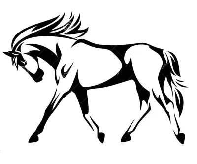 Лошадь Бегущая Силуэт - Бесплатное изображение на Pixabay - Pixabay