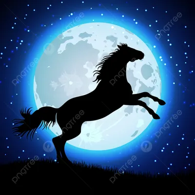 Наклейка на авто Конь силуэт лошади скакун вектор - купить по выгодным  ценам в интернет-магазине OZON (709297764)