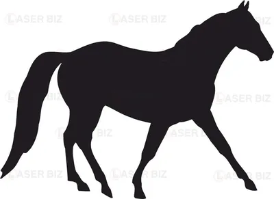 силуэт лошади черный Stock Vector | Adobe Stock