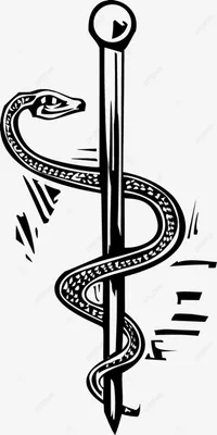 Ксилографическое изображение кадуцея обвитого змеей посоха который носил  гермес в греческой мифологии и является символом торговцев PNG , греческий,  мифология, классическая PNG картинки и пнг рисунок для бесплатной загрузки