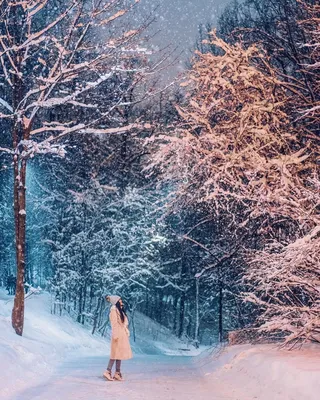 Идеи на тему «Сказочная зима» (59) | зима, пейзажи, зимние сцены