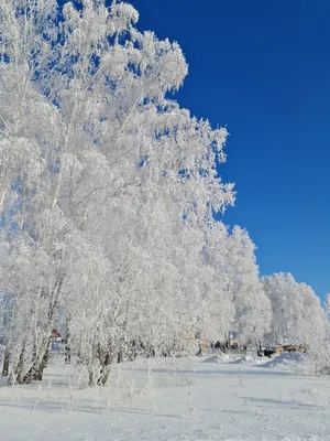 Сказочная зима картинки фотографии
