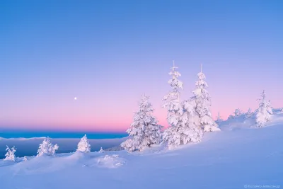 Сказочная зима, снег блестит, …» — создано в Шедевруме